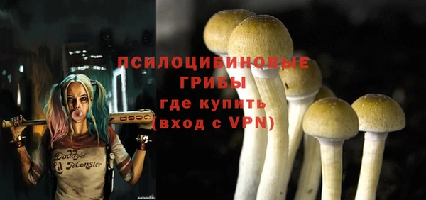 бутират Алексин