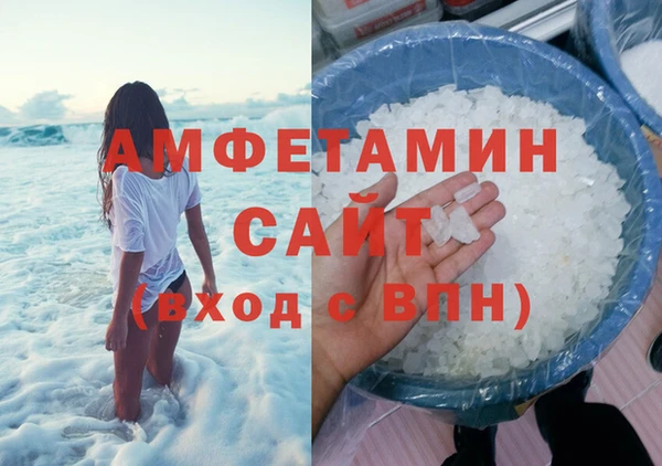 прущие грибы Россошь