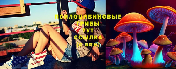 a pvp Алзамай